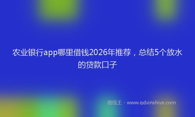 农业银行app哪里借钱2026年推荐，总结5个放水的贷款口子