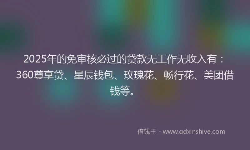 2025年的免审核必过的贷款无工作无收入有:360尊享贷、星辰钱包、玫瑰花、畅行花、美团借钱等。