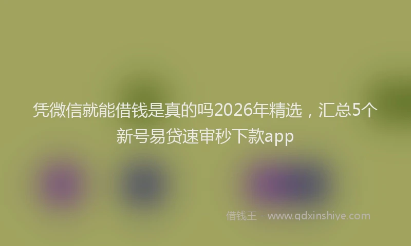 凭微信就能借钱是真的吗2026年精选，汇总5个新号易贷速审秒下款app