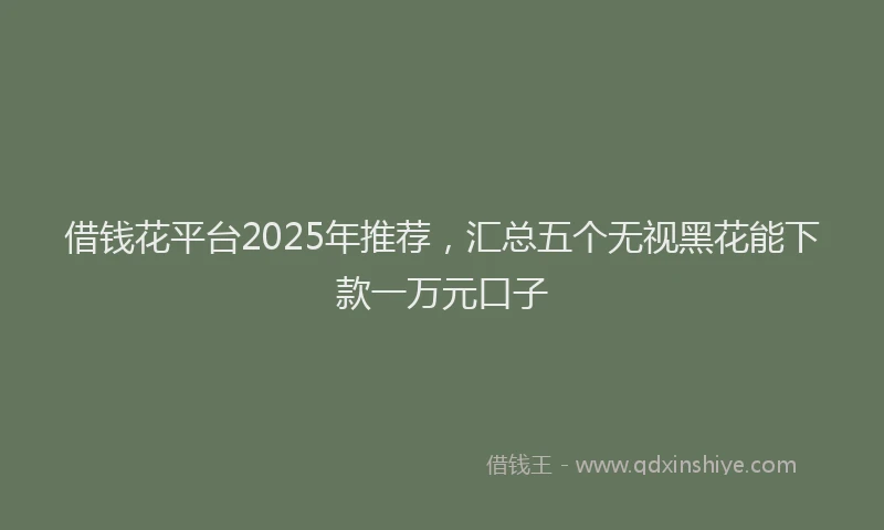 借钱花平台2025年推荐，汇总五个无视黑花能下款一万元口子