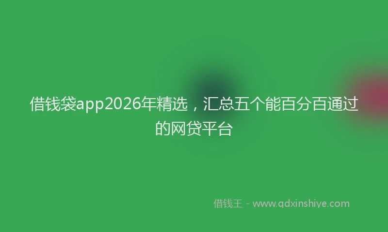 借钱袋app2026年精选，汇总五个能百分百通过的网贷平台