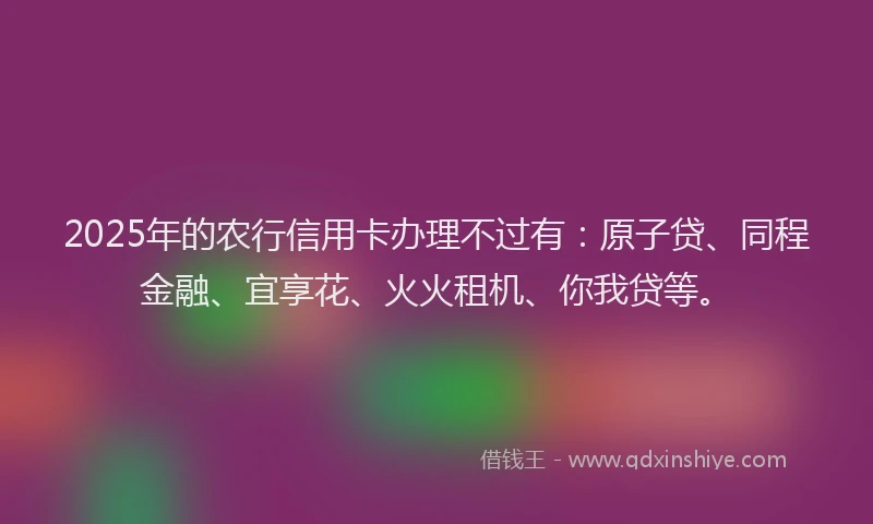 2025年的农行信用卡办理不过有:原子贷、同程金融、宜享花、火火租机、你我贷等。