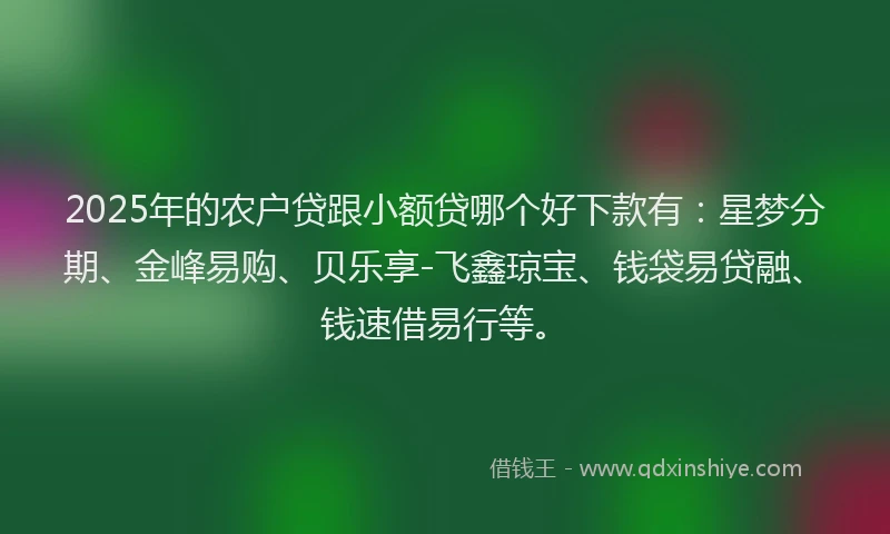 2025年的农户贷跟小额贷哪个好下款有：星梦分期、金峰易购、贝乐享-飞鑫琼宝、钱袋易贷融、钱速借易行等。