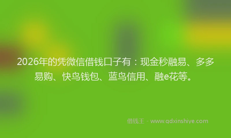 2026年的凭微信借钱口子有：现金秒融易、多多易购、快鸟钱包、蓝鸟信用、融e花等。