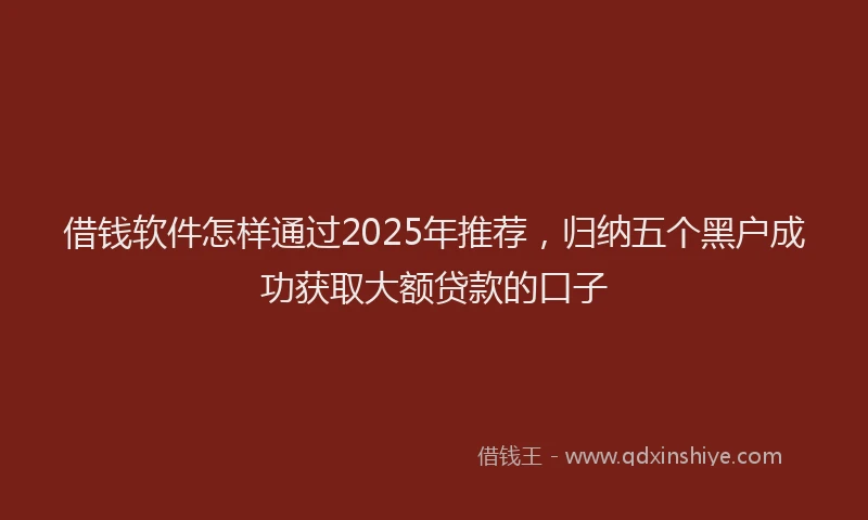 借钱软件怎样通过2025年推荐，归纳五个黑户成功获取大额贷款的口子