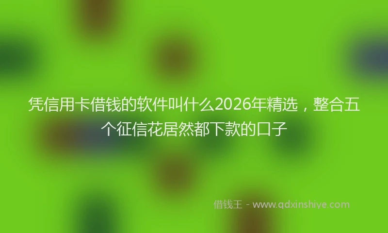凭信用卡借钱的软件叫什么2026年精选，整合五个征信花居然都下款的口子