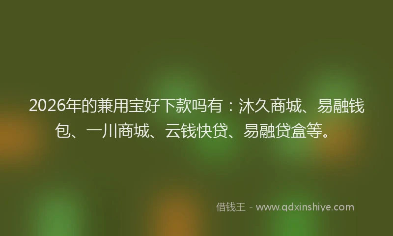 2026年的兼用宝好下款吗有:沐久商城、易融钱包、一川商城、云钱快贷、易融贷盒等。