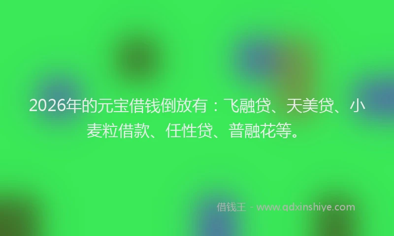 2026年的元宝借钱倒放有：飞融贷、天美贷、小麦粒借款、任性贷、普融花等。