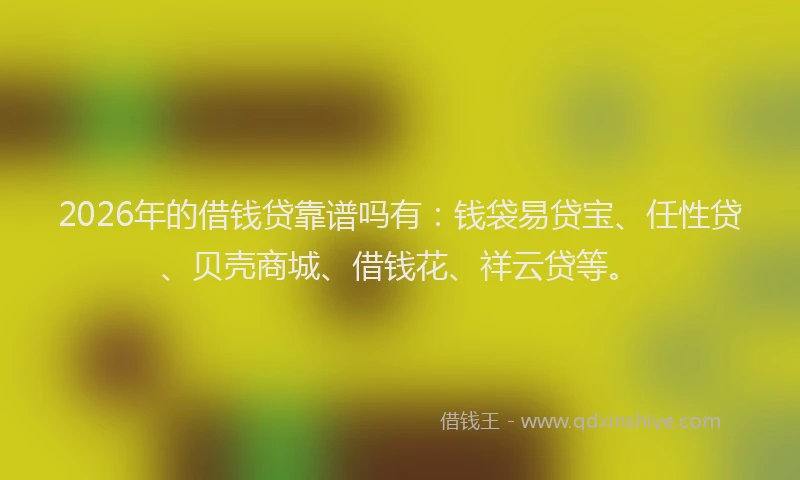 2026年的借钱贷靠谱吗有：钱袋易贷宝、任性贷、贝壳商城、借钱花、祥云贷等。