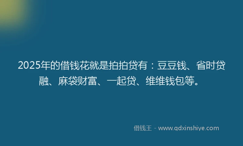 2025年的借钱花就是拍拍贷有：豆豆钱、省时贷融、麻袋财富、一起贷、维维钱包等。