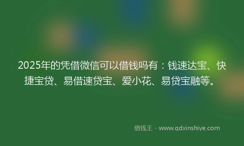 2025年的凭借微信可以借钱吗有：钱速达宝、快捷宝贷、易借速贷宝、爱小花、易贷宝融等。