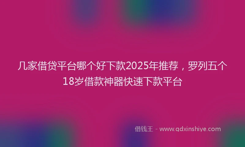 几家借贷平台哪个好下款2025年推荐,罗列五个18岁借款神器快速下款平台