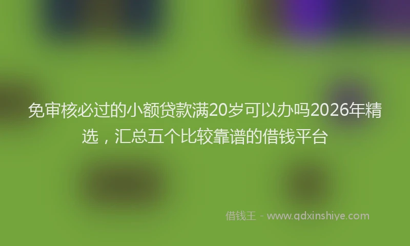 免审核必过的小额贷款满20岁可以办吗2026年精选，汇总五个比较靠谱的借钱平台