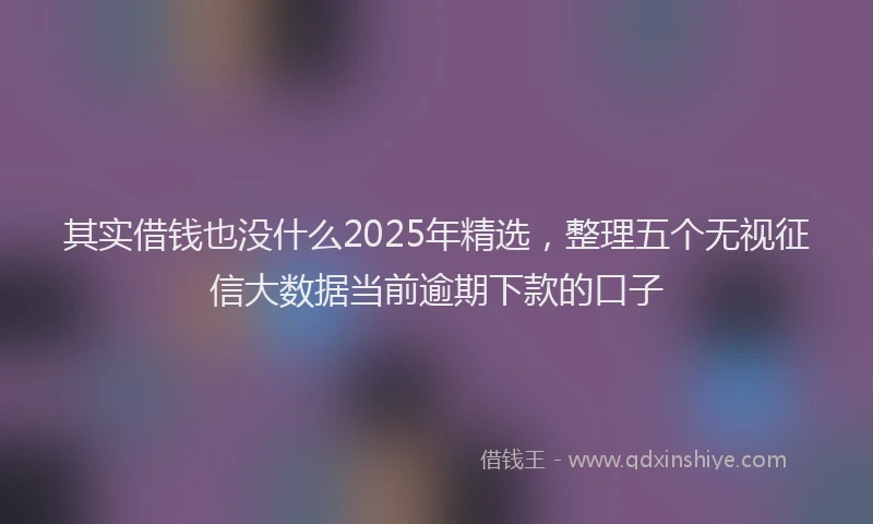 其实借钱也没什么2025年精选，整理五个无视征信大数据当前逾期下款的口子