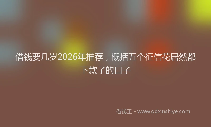 借钱要几岁2026年推荐,概括五个征信花居然都下款了的口子