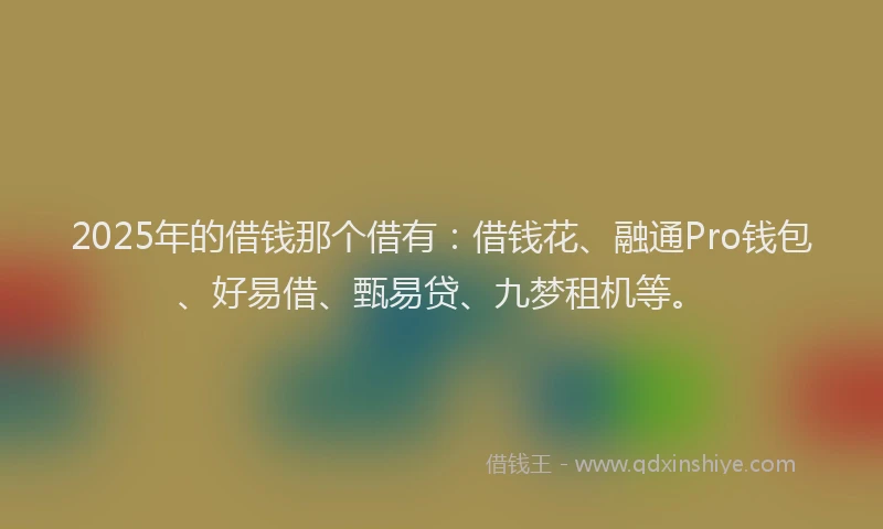 2025年的借钱那个借有：借钱花、融通Pro钱包、好易借、甄易贷、九梦租机等。