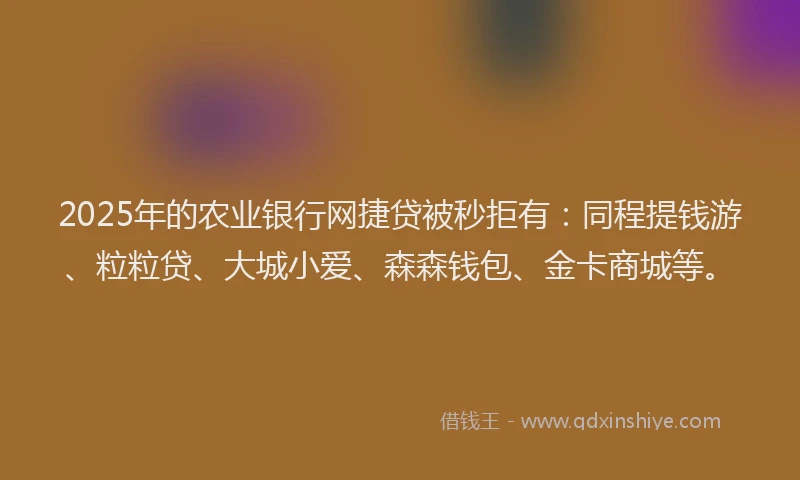 2025年的农业银行网捷贷被秒拒有：同程提钱游、粒粒贷、大城小爱、森森钱包、金卡商城等。