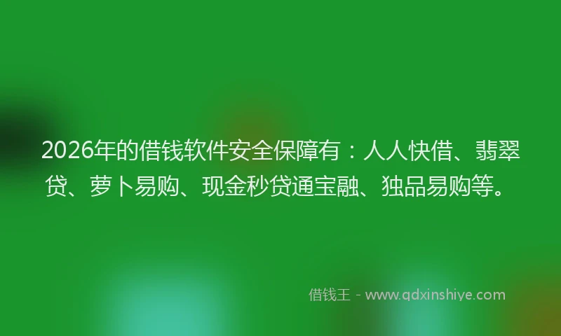 2026年的借钱软件安全保障有：人人快借、翡翠贷、萝卜易购、现金秒贷通宝融、独品易购等。