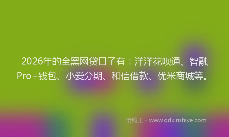 2026年的全黑网贷口子有：洋洋花呗通、智融Pro+钱包、小爱分期、和信借款、优米商城等。