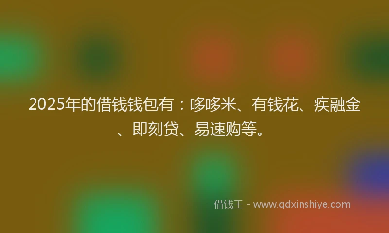 2025年的借钱钱包有：哆哆米、有钱花、疾融金、即刻贷、易速购等。