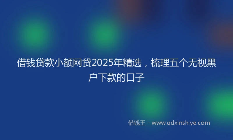 借钱贷款小额网贷2025年精选，梳理五个无视黑户下款的口子