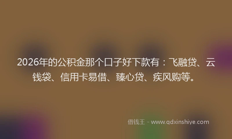2026年的公积金那个口子好下款有：飞融贷、云钱袋、信用卡易借、臻心贷、疾风购等。
