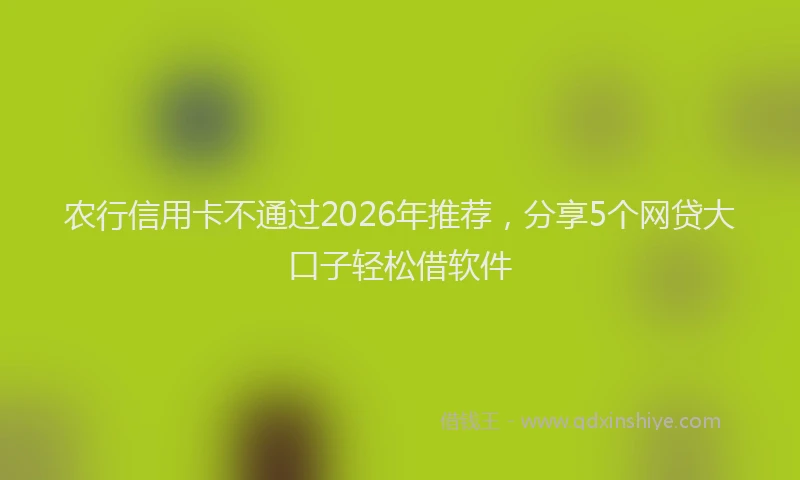 农行信用卡不通过2026年推荐，分享5个网贷大口子轻松借软件