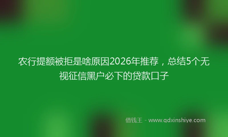 农行提额被拒是啥原因2026年推荐，总结5个无视征信黑户必下的贷款口子