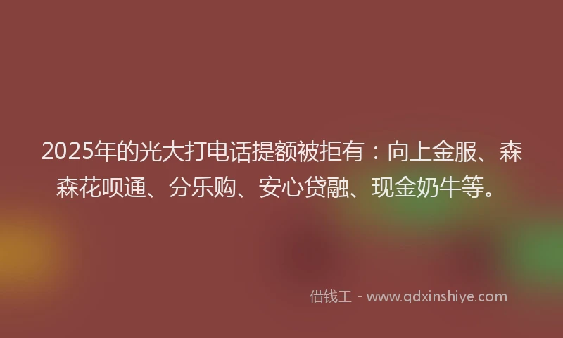2025年的光大打电话提额被拒有:向上金服、森森花呗通、分乐购、安心贷融、现金奶牛等。
