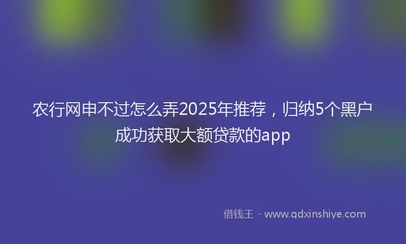 农行网申不过怎么弄2025年推荐，归纳5个黑户成功获取大额贷款的app
