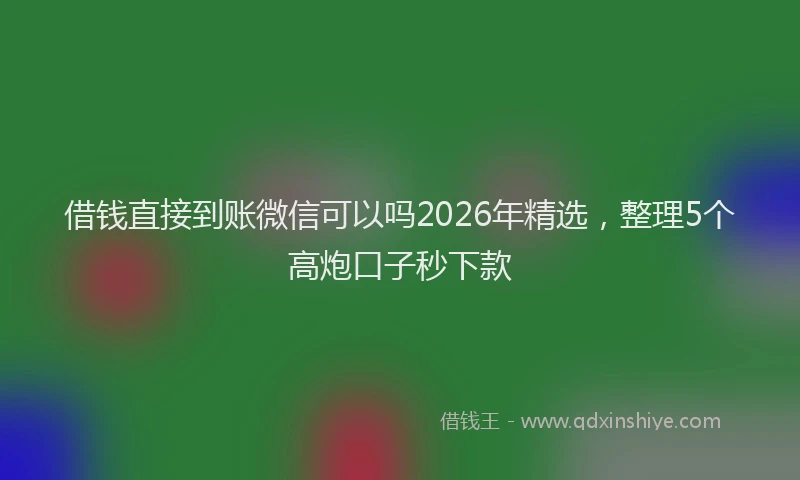 借钱直接到账微信可以吗2026年精选，整理5个高炮口子秒下款