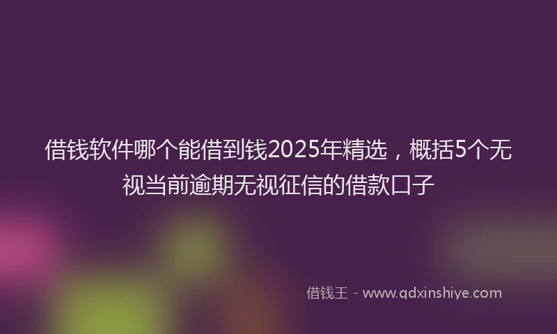 借钱软件哪个能借到钱2025年精选，概括5个无视当前逾期无视征信的借款口子