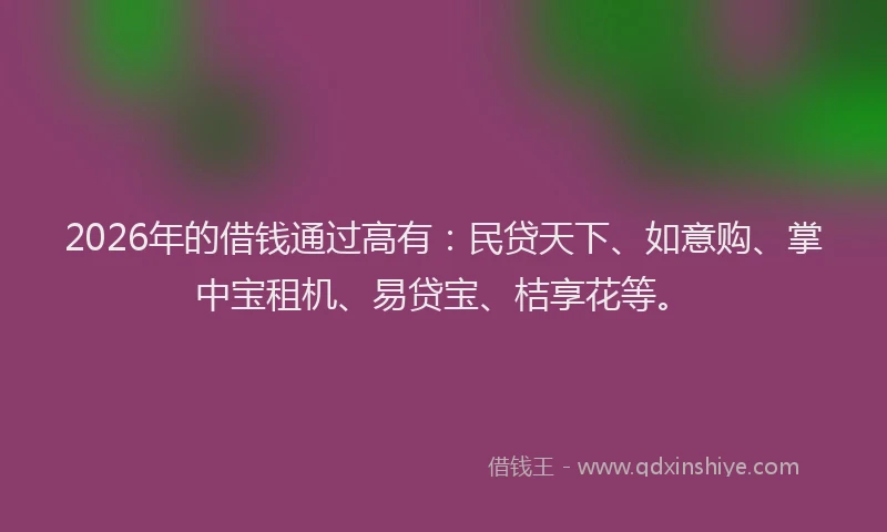2026年的借钱通过高有：民贷天下、如意购、掌中宝租机、易贷宝、桔享花等。