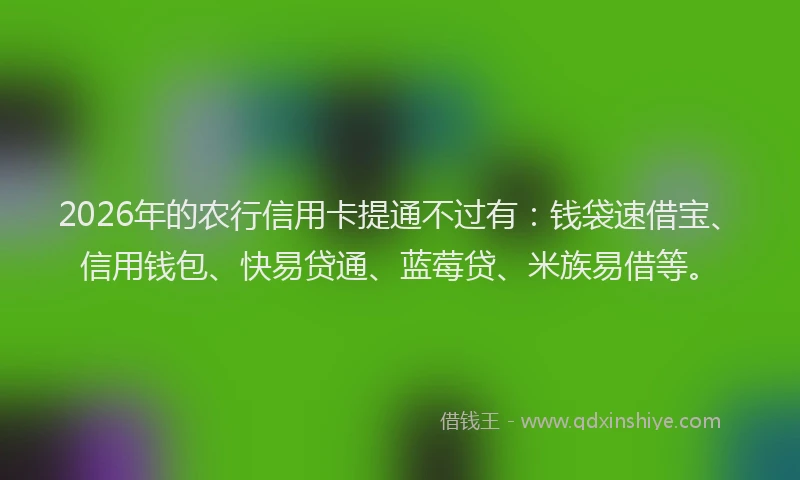 2026年的农行信用卡提通不过有:钱袋速借宝、信用钱包、快易贷通、蓝莓贷、米族易借等。