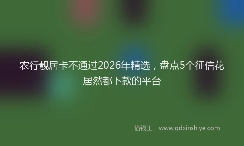 农行靓居卡不通过2026年精选，盘点5个征信花居然都下款的平台