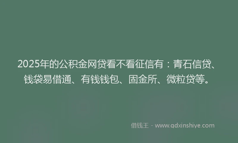 2025年的公积金网贷看不看征信有：青石信贷、钱袋易借通、有钱钱包、固金所、微粒贷等。