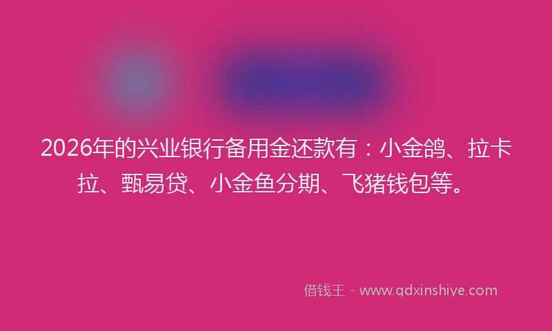 2026年的兴业银行备用金还款有：小金鸽、拉卡拉、甄易贷、小金鱼分期、飞猪钱包等。