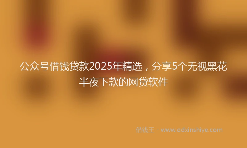 公众号借钱贷款2025年精选，分享5个无视黑花半夜下款的网贷软件