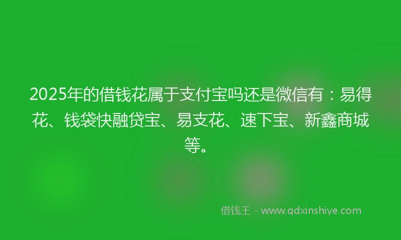 2025年的借钱花属于支付宝吗还是微信有：易得花、钱袋快融贷宝、易支花、速下宝、新鑫商城等。