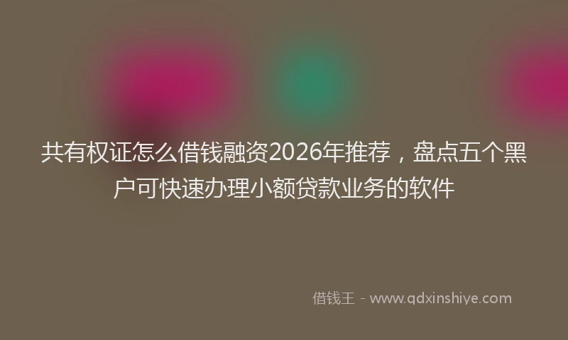 共有权证怎么借钱融资2026年推荐，盘点五个黑户可快速办理小额贷款业务的软件