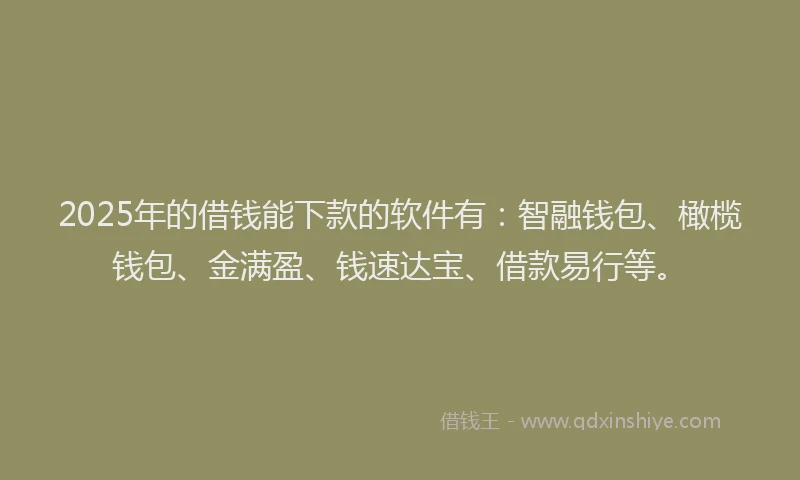 2025年的借钱能下款的软件有:智融钱包、橄榄钱包、金满盈、钱速达宝、借款易行等。