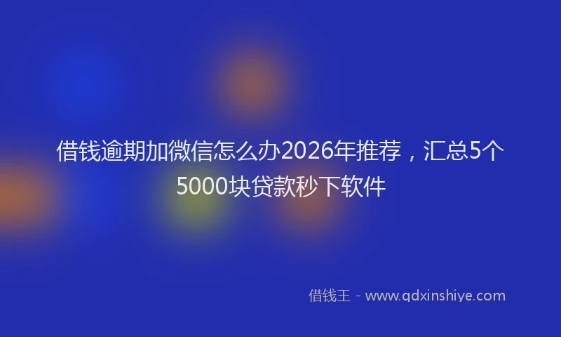 借钱逾期加微信怎么办2026年推荐，汇总5个5000块贷款秒下软件