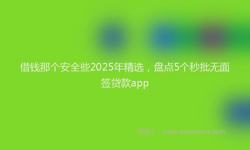 借钱那个安全些2025年精选,盘点5个秒批无面签贷款app