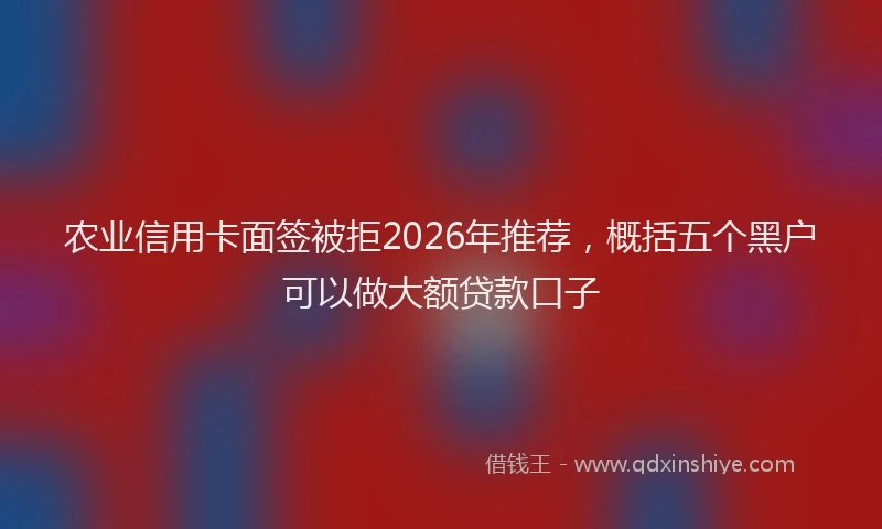 农业信用卡面签被拒2026年推荐，概括五个黑户可以做大额贷款口子