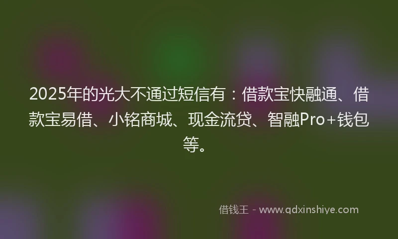 2025年的光大不通过短信有：借款宝快融通、借款宝易借、小铭商城、现金流贷、智融Pro+钱包等。