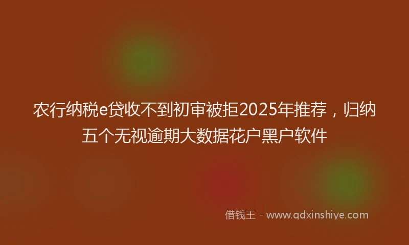 农行纳税e贷收不到初审被拒2025年推荐，归纳五个无视逾期大数据花户黑户软件