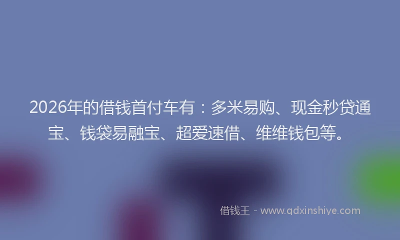 2026年的借钱首付车有:多米易购、现金秒贷通宝、钱袋易融宝、超爱速借、维维钱包等。