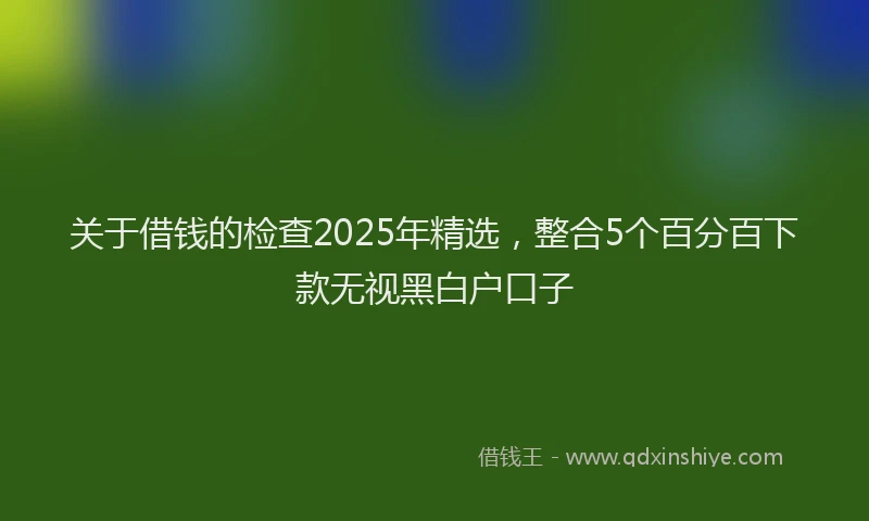关于借钱的检查2025年精选,整合5个百分百下款无视黑白户口子