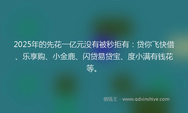 2025年的先花一亿元没有被秒拒有：贷你飞快借、乐享购、小金鹿、闪贷易贷宝、度小满有钱花等。