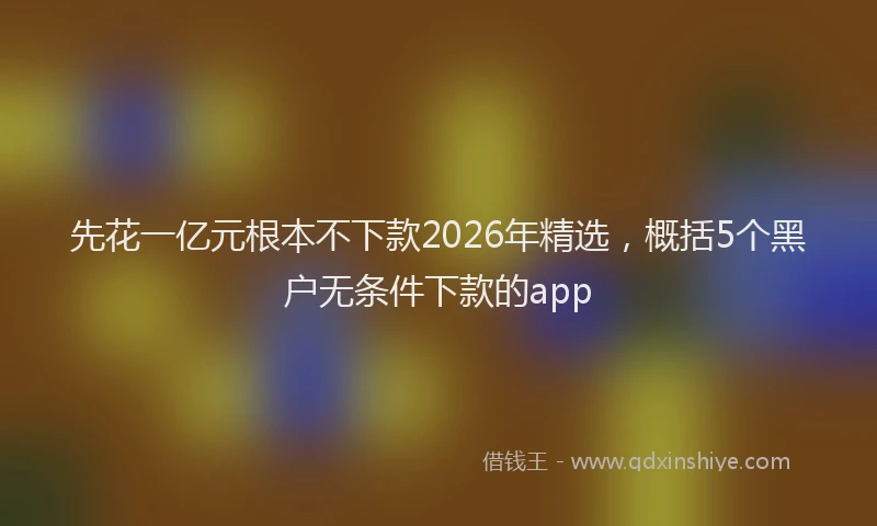 先花一亿元根本不下款2026年精选，概括5个黑户无条件下款的app